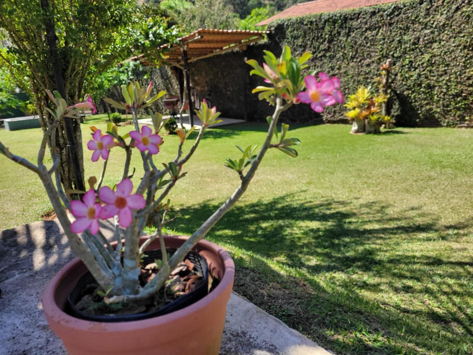 Villa Terracotta มิเกลเปเรรา ภายนอก รูปภาพ